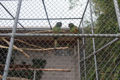 20240911_Ausflug_Plaettli-Zoo_80