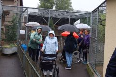 Ausflug_Plaettli-Zoo_56