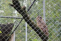 Ausflug_Plaettli-Zoo_62