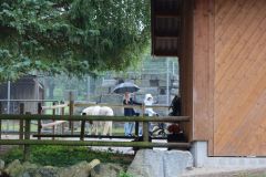 Ausflug_Plaettli-Zoo_64