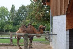 Ausflug_Plaettli-Zoo_79