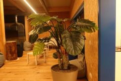 20240927_Personalanlass_202424