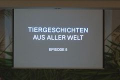 Fotomediavortrag "Tiergeschichten aus aller Welt" mit Rudolf Hug
