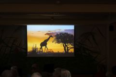 20241008_Tiergeschichten-aus-aller-Welt_32
