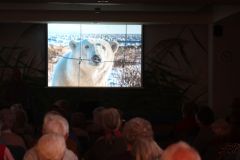 Tiergeschichten-aus-aller-Welt_33